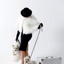Dog House 이미지