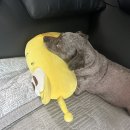 단비넷PC방 | 2024.07