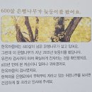 CW-1946-01 | 리플릿으로 복습하는 전주 한옥마을(전주감영, 전주 한옥마을 역사관)