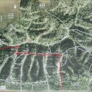 우면산5-13 이미지