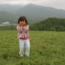 도연목장 이미지