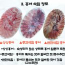 맛, 가성비 모두 잡은 국내산 홍어 추천, 싱싱제철수산물 미진수산 암치홍어 후기