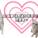 다담숯불고기