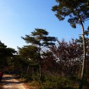 사과랑관광농원 이미지