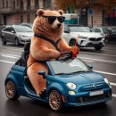 큰곰자리부동산중개그룹 이미지