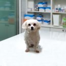 태평주유소 이미지