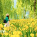 거창-거창-7 이미지