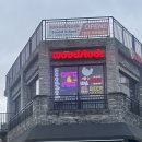 우드스탁 - 서귀포시 | 음악에 취하고 분위기에 젖는 서귀포 올레시장 감성 바(Bar) 우드스탁 후기