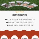 홍천 개아빠 이미지