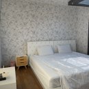 타피올라 이미지