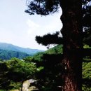 계곡사랑 이미지