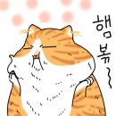 모아호프 이미지