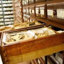 YES한방병원 이미지