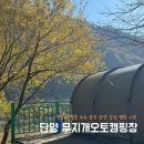 단양 무지개 오토캠핑장 | 단양 무지개오토캠핑장 가을 단풍 캠핑 후기 | 11월 2박 3일 캠핑 기록