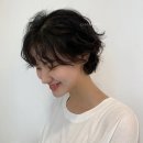 나이스패밀리
