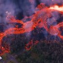 "개딸의,개딸에 의한,개딸만을 위한 민주당" 이미지