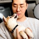 마이스터안경 이미지