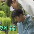 이동꽃마을 이미지