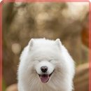 따스한 동물병원 이미지