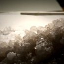 제일당약국 이미지