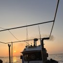 CU대산삼길포타운점 | 2025 삼길포 씨유만석낚시 나대세호 갑오징어낚시후기 (역시 갓길포)