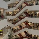 관련주(현대백화점, <b>신세계</b>, 롯데<b>쇼핑</b>, 대구백화점...