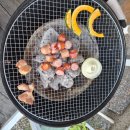 울산 글램핑 바베큐 피아모르 🏕️감성 텐트에서 숯불 바베큐와 불멍까지 제대로 즐긴 울산 서생면 맛집 후기