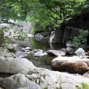 백운봉주유소 이미지