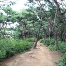 힐링칼국수 이미지