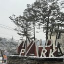 농띠몰 | [숙소] 소노벨 비발디파크 C동 저층 후기, 눈길 운전