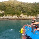 해변민박펜션 이미지