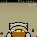 코냥코냥 이미지