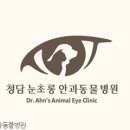 청담눈초롱안과동물병원 이미지