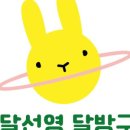 달선영스튜디오&달방구 이미지