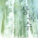 상록수