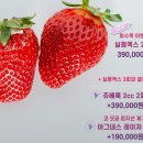 밀라비의원 네이버블로그