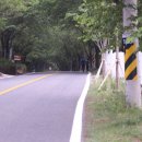 복인 민박 이미지