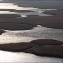 순천만의 추억 이미지