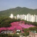 군포시청 이미지