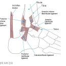 다온한의원 이미지