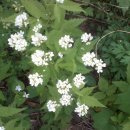 새롬농장 이미지