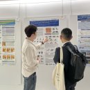 생명의줄기 이미지