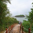 대숲사이 이미지