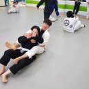 현산합기도 이미지