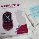 광장 메디칼 이미지