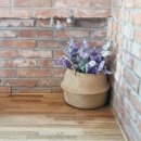 화곡경로당 이미지