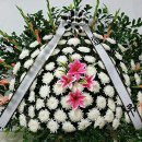 수플라워 이미지