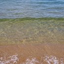 삼척해수욕장 이미지