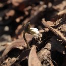 천마산농장 이미지