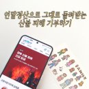 고향사랑기부제 10만원 후기, 위기브 산불 기부금에 써보면 어떨까
